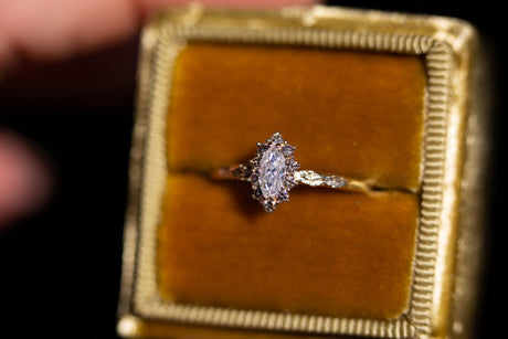 Midsummer Petite setting with marquise center and champagne diamonds